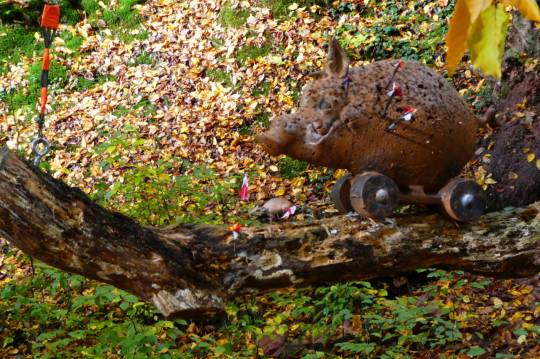 1. Rattenjagd Kleinwallstadt